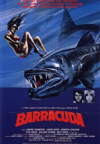 Plakat: Barracuda