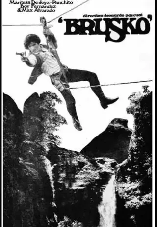 Plakat: Brusko