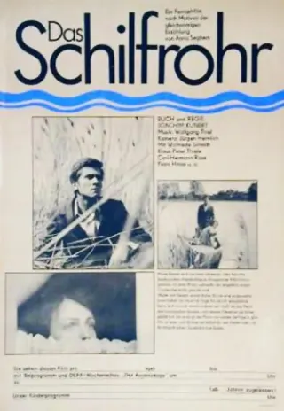 Plakat: Trzcina