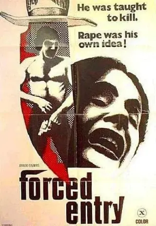 Plakat: Forced Entry