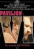 Plakat: Paviljon VI