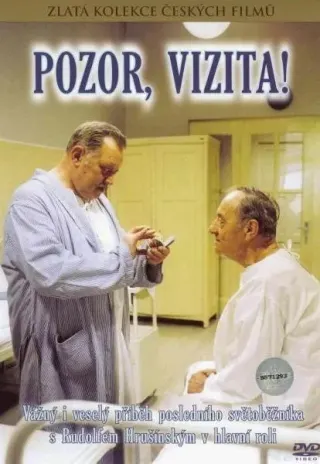 Plakat: Pozor, vizita!