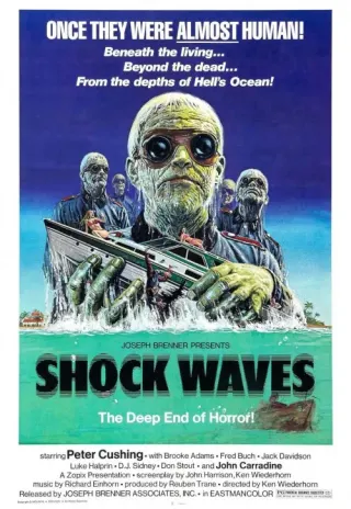 Plakat: Shock Waves