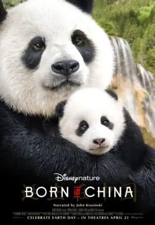 Plakat: Born in China