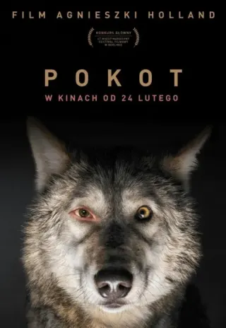 Plakat: Pokot