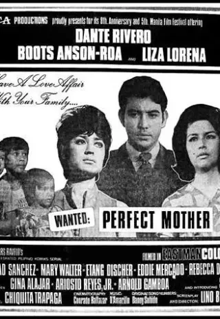 Plakat: Wanted: Perfect Mother
