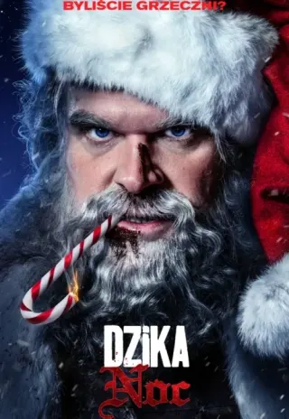Plakat: Dzika noc