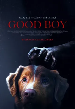 Plakat: Good Boy