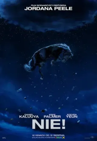 Plakat: Nie!