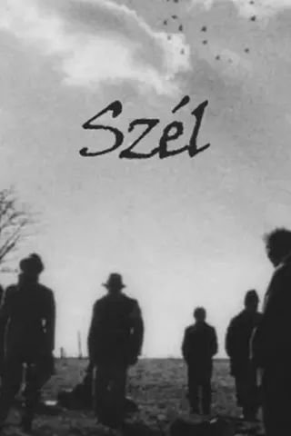Plakat: Szél