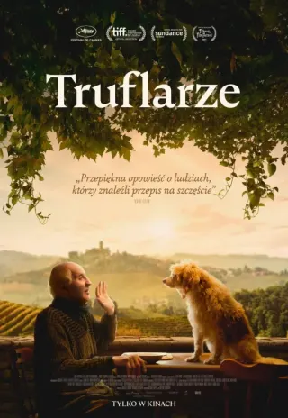 Plakat: Truflarze