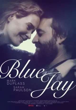 Plakat: Blue Jay