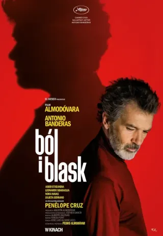 Plakat: Ból i blask