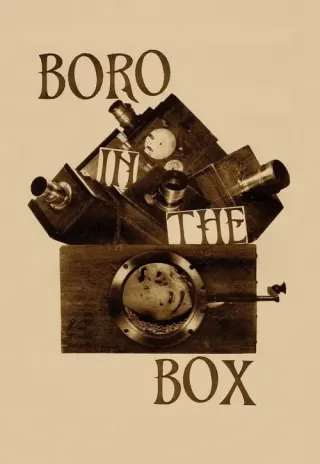 Plakat: Boro in the Box