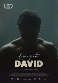Plakat: Doskonały Dawid