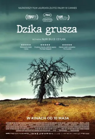 Plakat: Dzika grusza