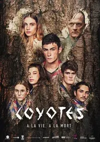 Plakat: Kojoty