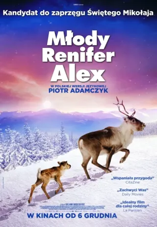 Plakat: Młody Renifer Alex