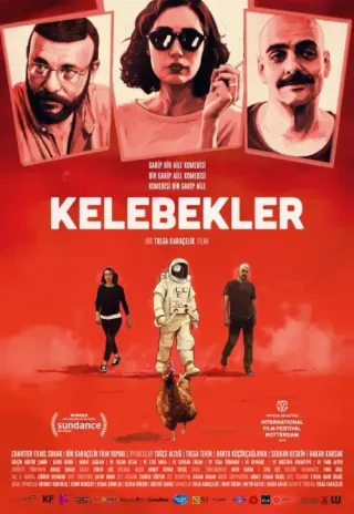 Plakat: Motyle