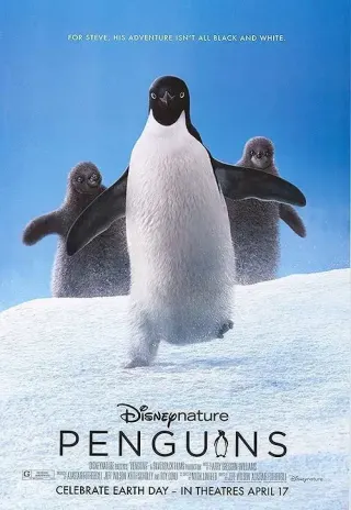 Plakat: Penguins