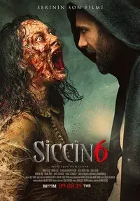 Plakat: Siccin 6