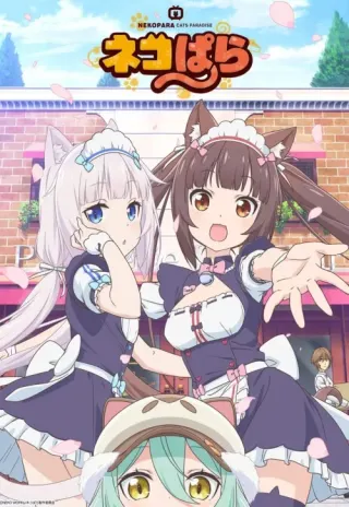 Plakat: Nekopara