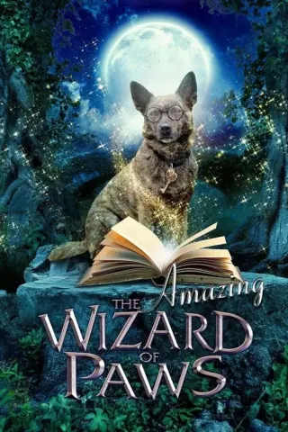 Plakat: Oswald - magiczny pies