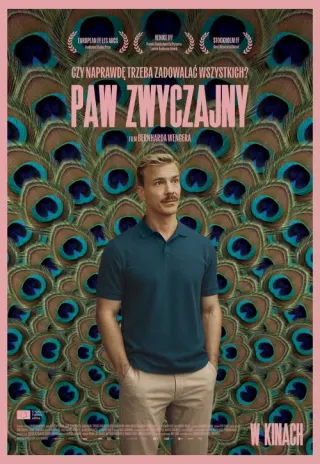 Plakat: Paw zwyczajny