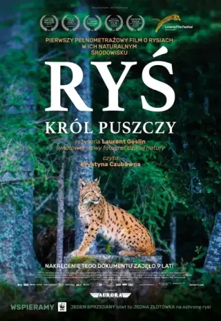 Plakat: Ryś. Król puszczy