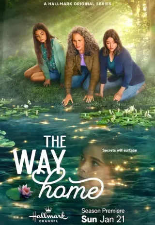 Plakat: The Way Home