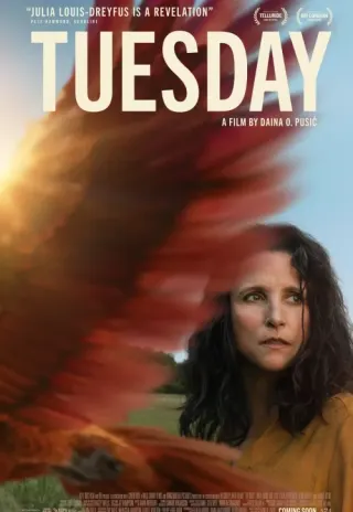 Plakat: Tuesday