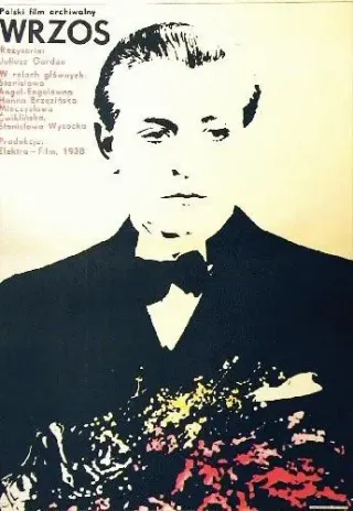 Plakat: Wrzos