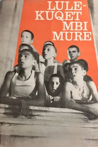 Plakat: Czerwone maki na murze