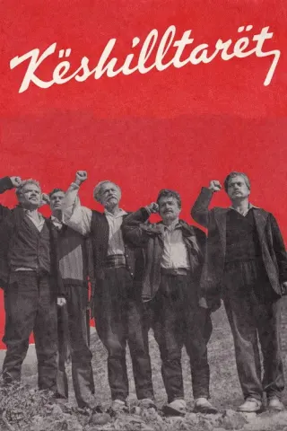 Plakat: Członkowie Rady
