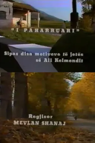 Plakat: Niezapomniany