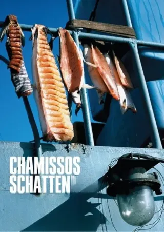 Plakat: Chamissos Schatten