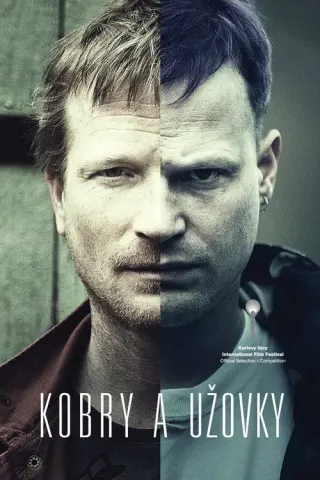 Plakat: Kobry a Uzovky