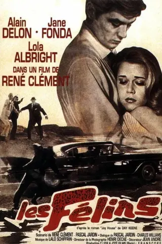 Plakat: Koty