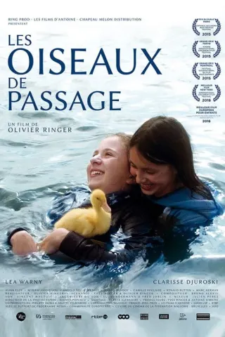 Plakat: Les oiseaux de passage