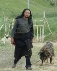 Plakat: Old Dog