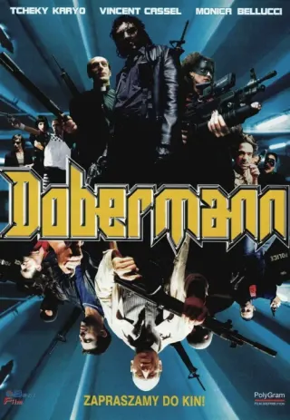 Plakat: Dobermann