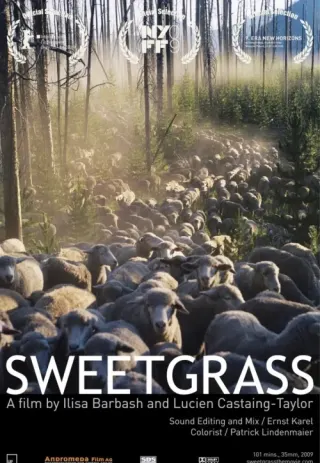 Plakat: Sweetgrass