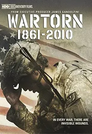 Plakat: Wojenne rany 1861-2010