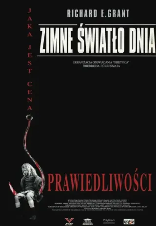 Plakat: Zimne światło dnia