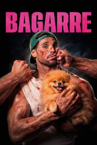 Plakat: Brawl