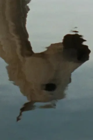 Plakat: Farewell, Rivers