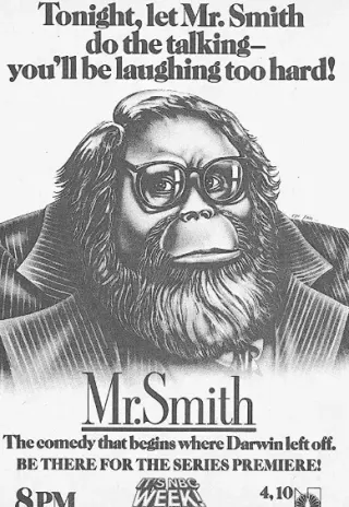 Plakat: Mr. Smith
