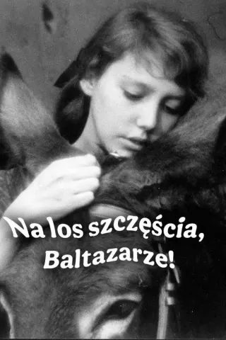 Plakat: Na los Baltazara