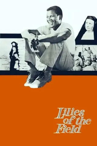 Plakat: Polne lilie