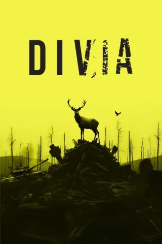 Plakat: Divia